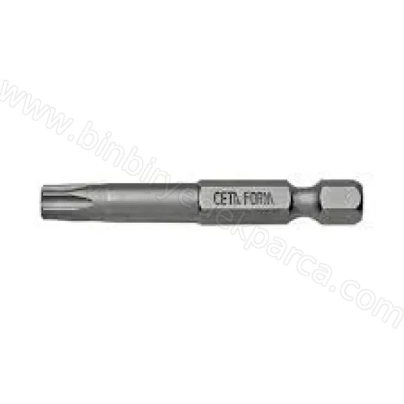 Gfb Torx Uç T20x50 Mm