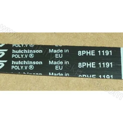 (8PHE 1191) Çamaşır Makinesi Kayışı C00305069/44305069