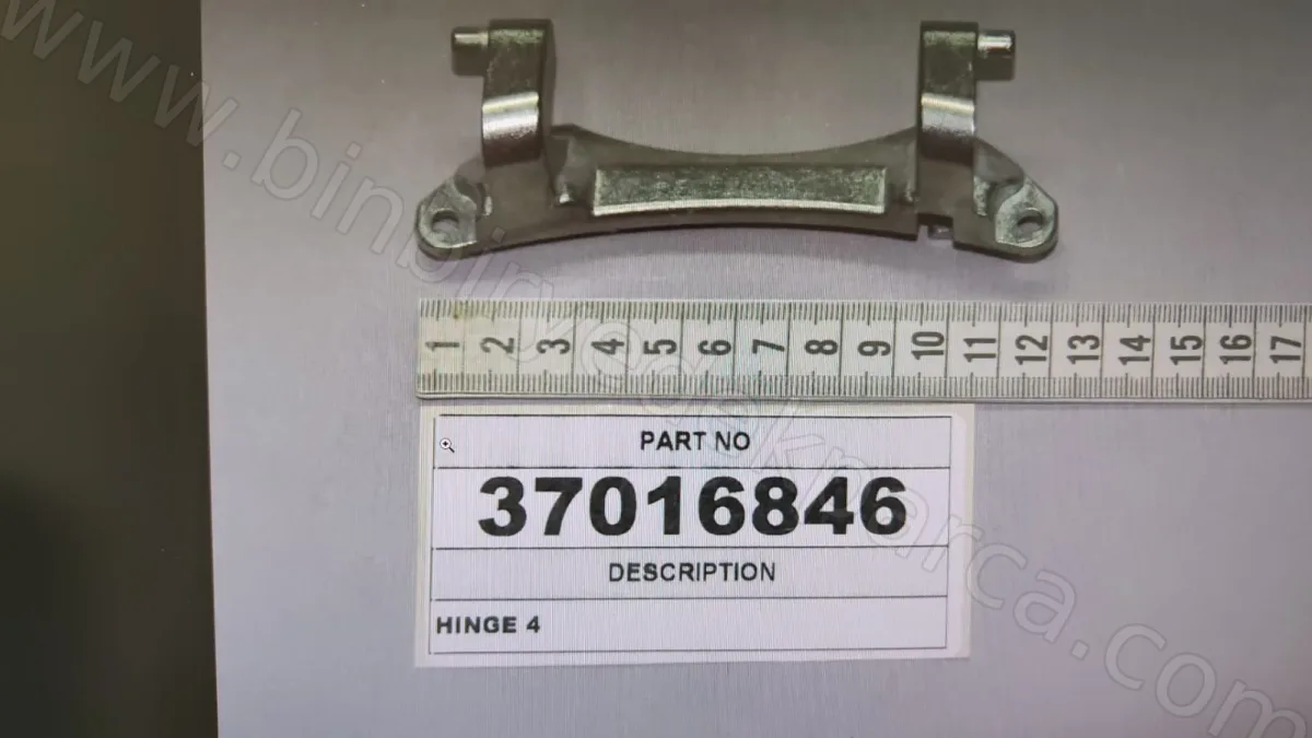 Çamaşır Makinesi Kapak Menteşesi 10715367